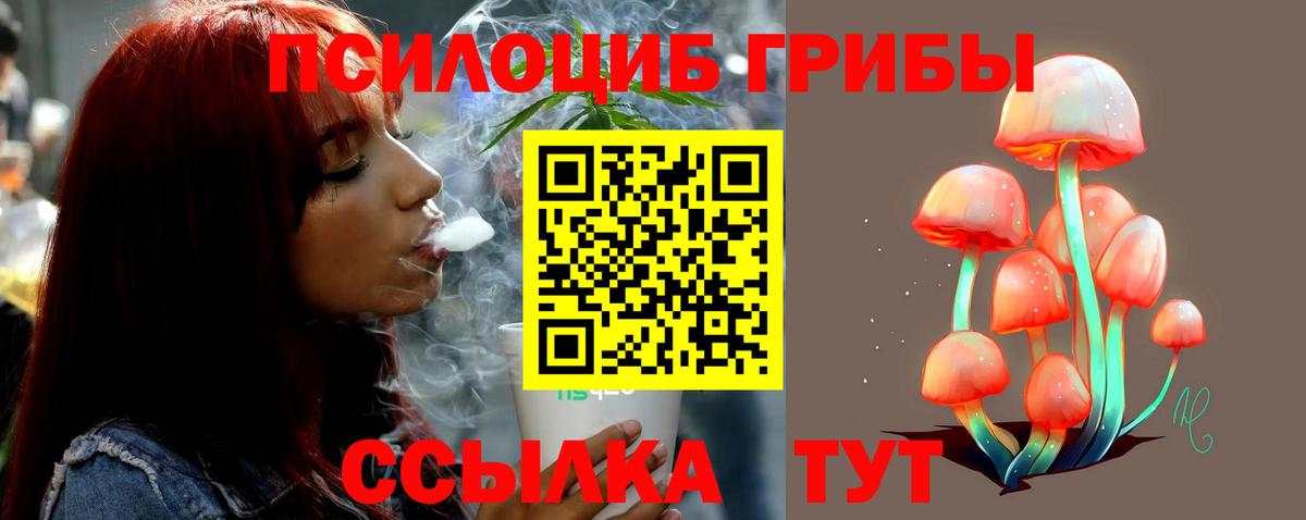 Псилоцибиновые грибы мицелий  Вход с VPN  Аша 